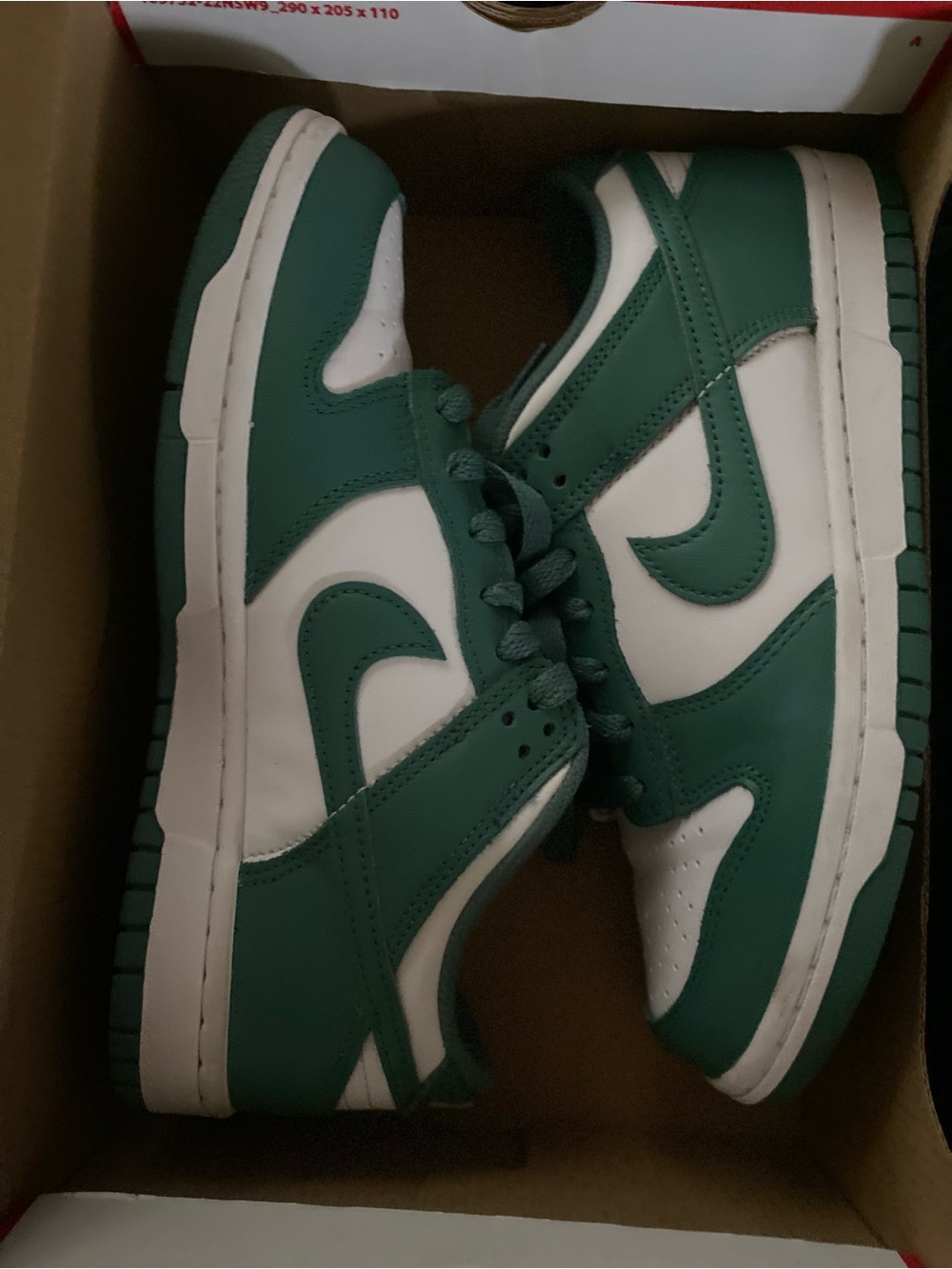 Nike Green and White Low-Top Sneakers